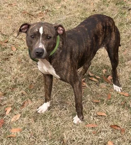 Spaztastic thumbnail 2