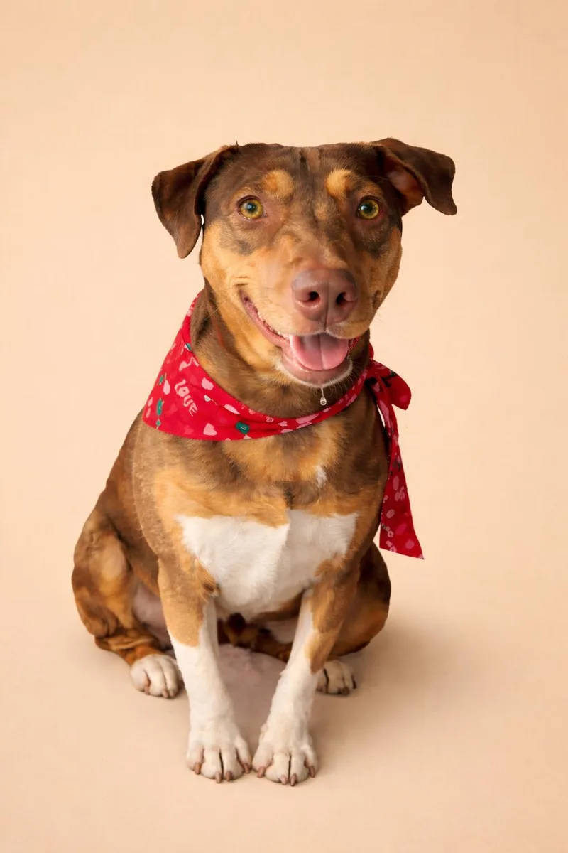 Sandy Cheeks thumbnail 2