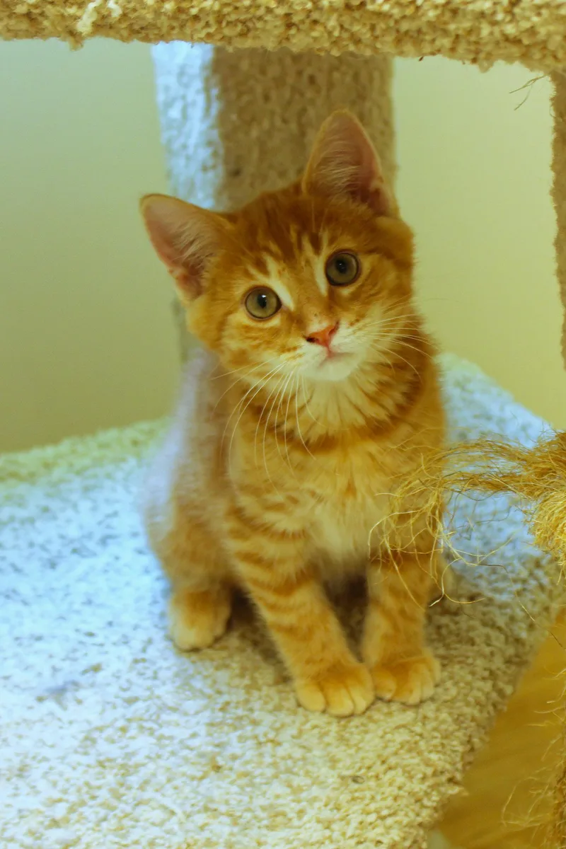 Eli thumbnail 3