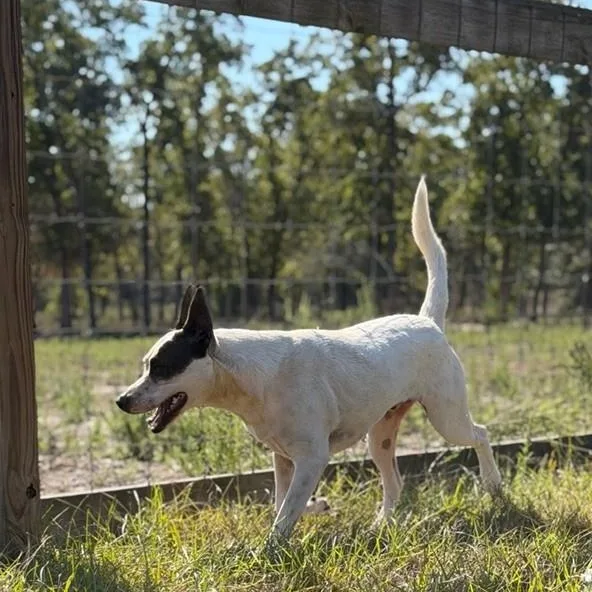 Ted Lasso! thumbnail 3