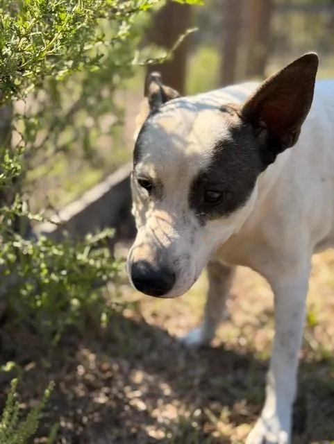 Ted Lasso! thumbnail 6