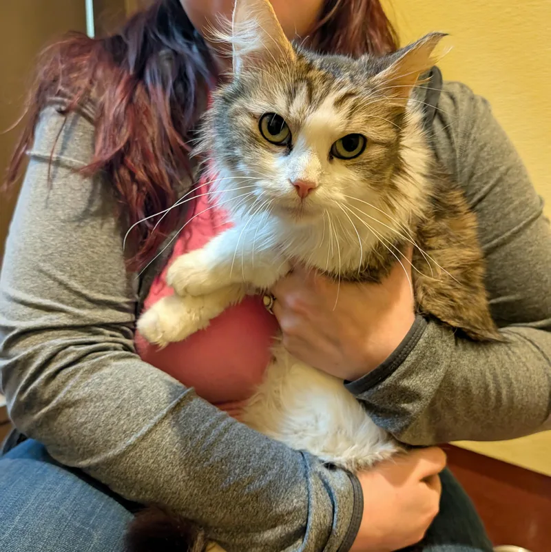 Freda Pearl thumbnail 3