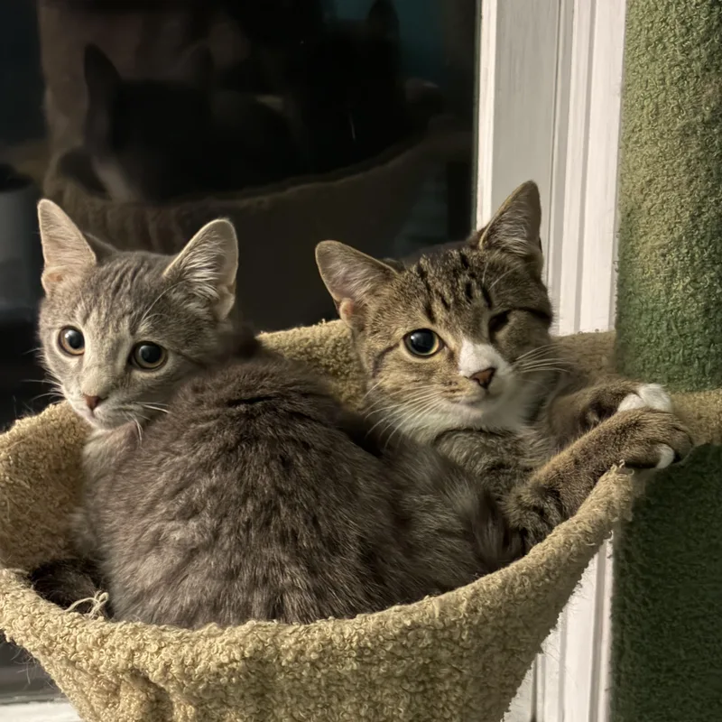 Winky & Minky thumbnail 3