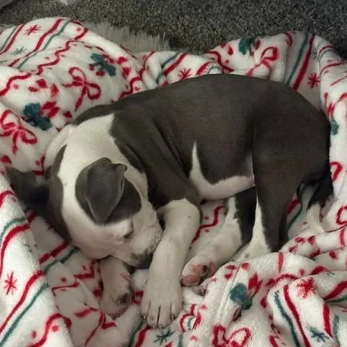 Scramble thumbnail 4