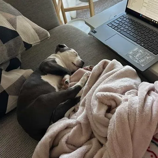 Scramble thumbnail 5