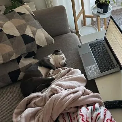 Scramble thumbnail 6