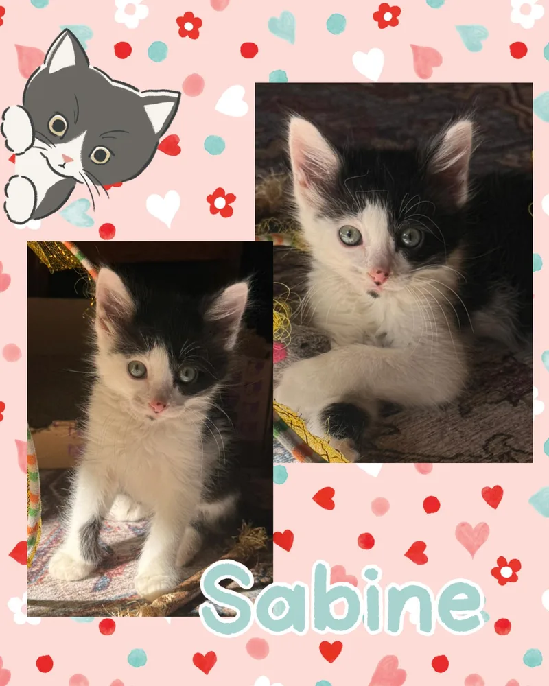 Sabine thumbnail 3