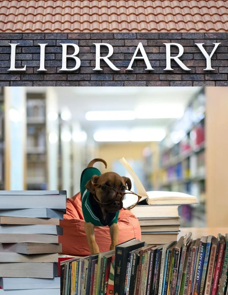 A baby small-sized male Terrier dog named Mace for adoption in Ada, OK