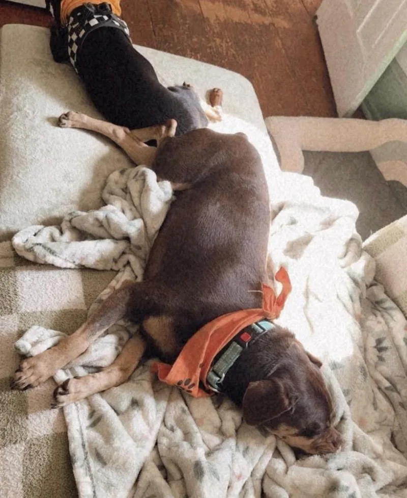 Bane & Tula