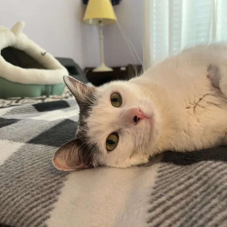 Sam