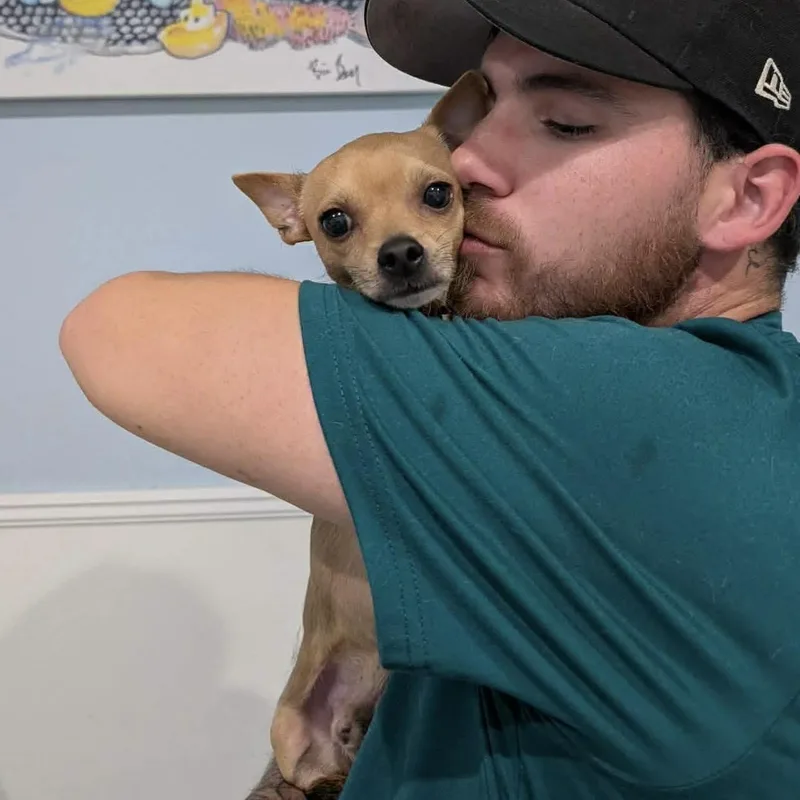 Dexter thumbnail 6