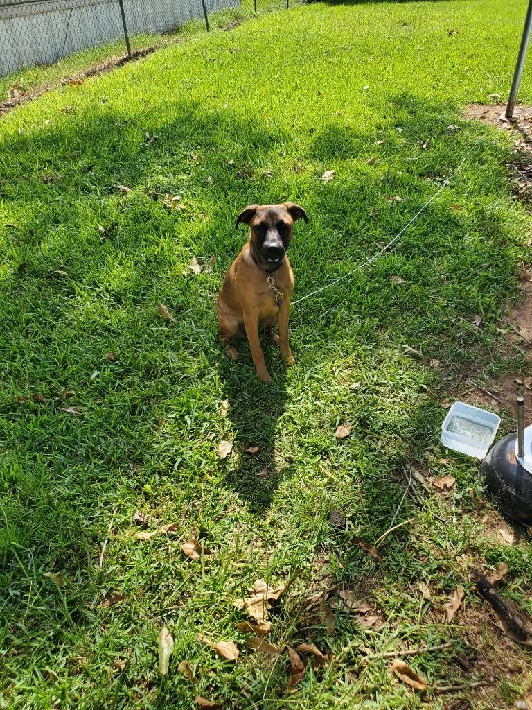 Bella