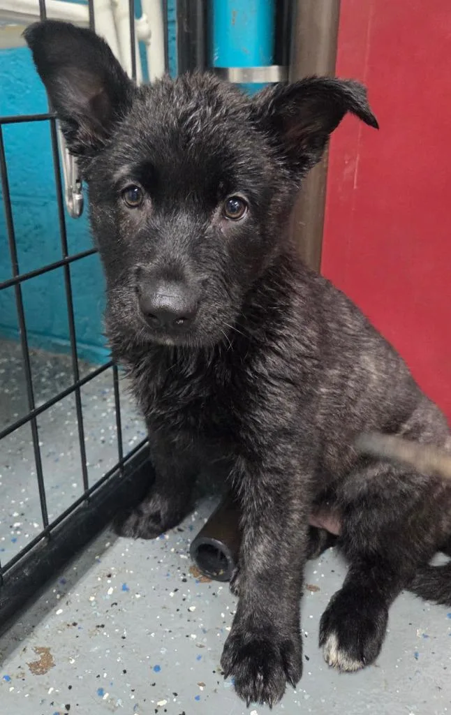 Sprocket thumbnail 2