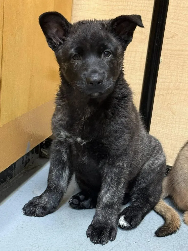 Sprocket thumbnail 4