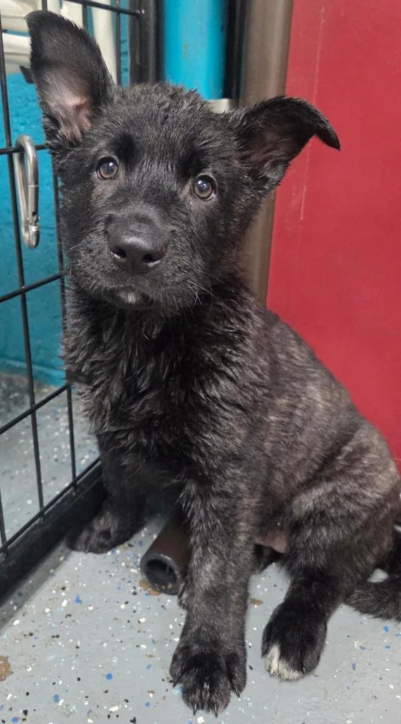 Sprocket thumbnail 5