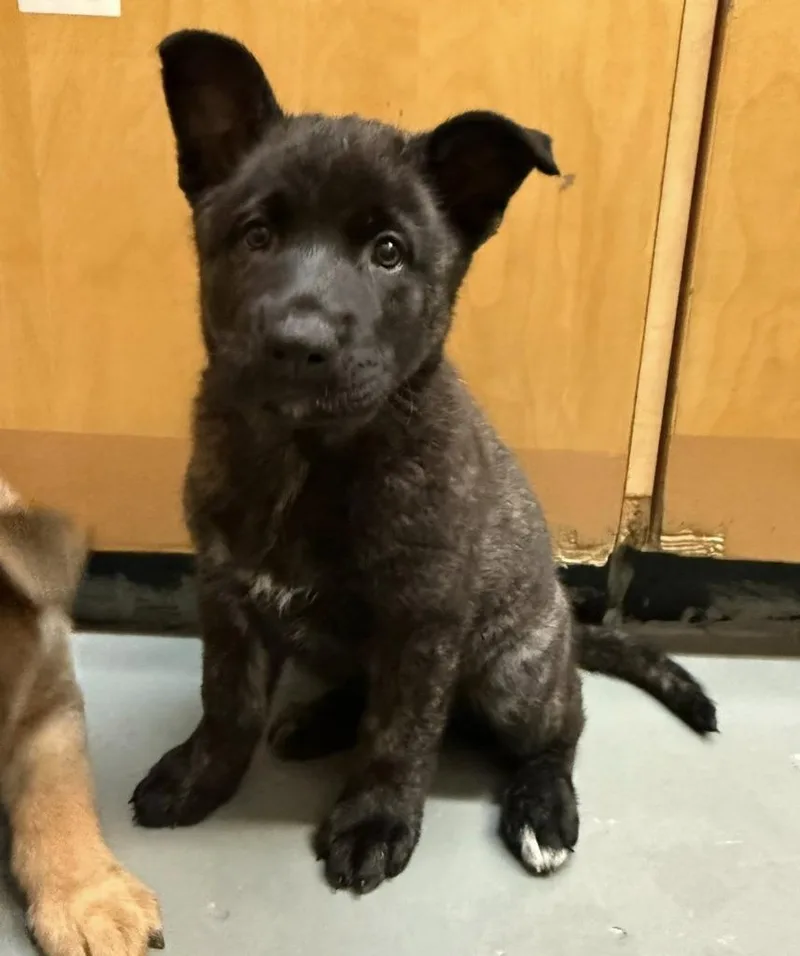 Sprocket thumbnail 6