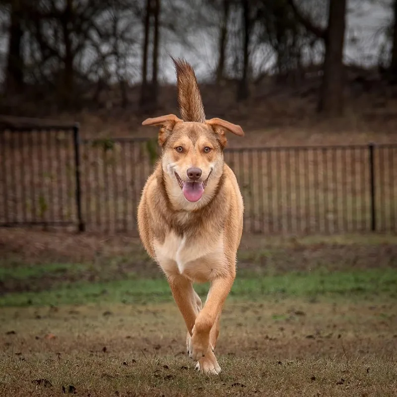 Dot Hudson thumbnail 2