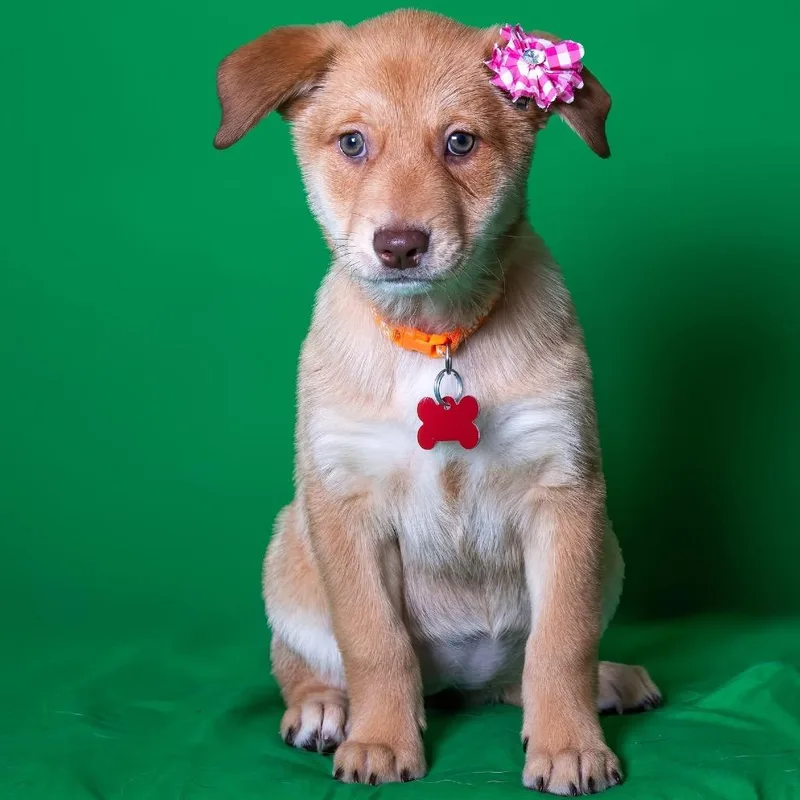 Dot Hudson thumbnail 3