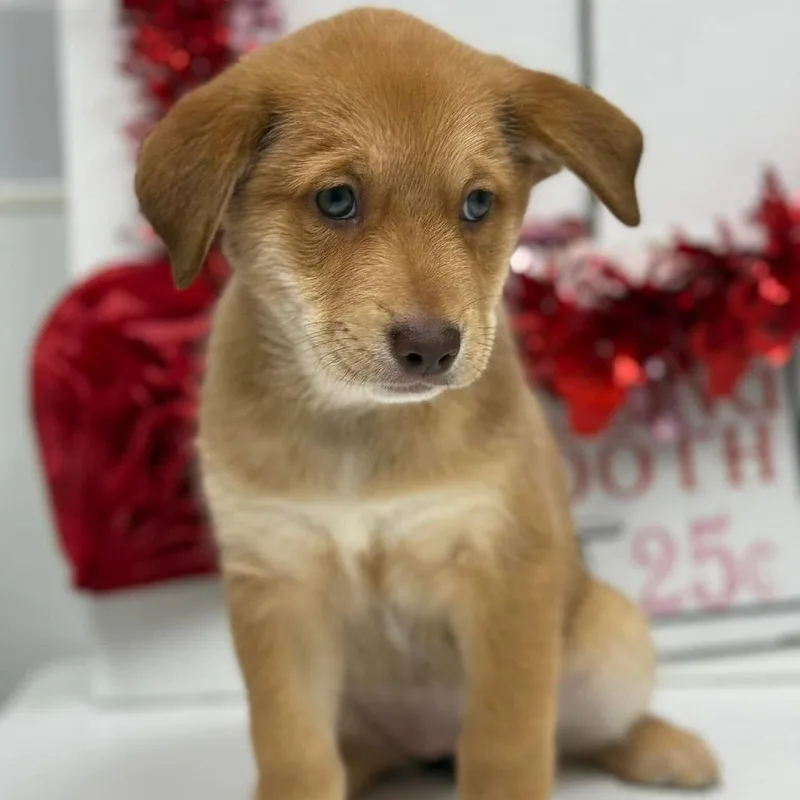 Dot Hudson thumbnail 4