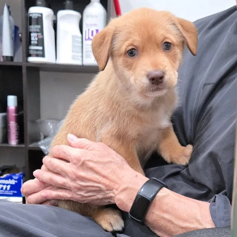 Dot Hudson thumbnail 5