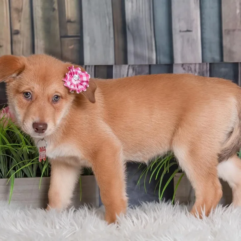 Dot Hudson thumbnail 6