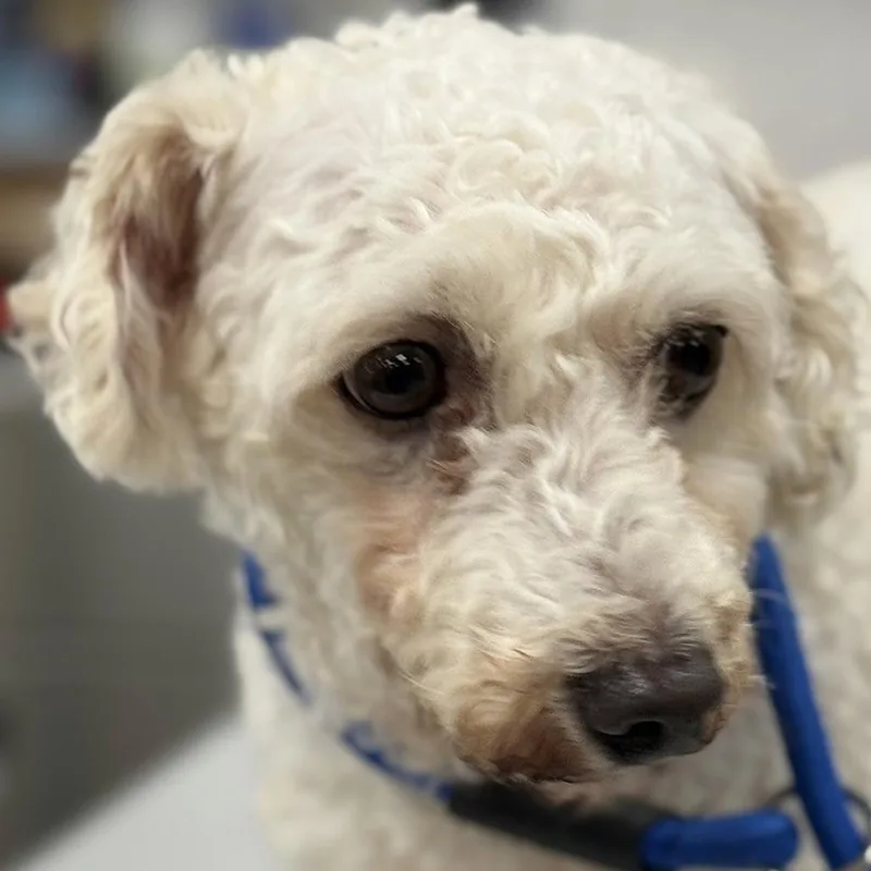 Irena ~ Video ~ thumbnail 3