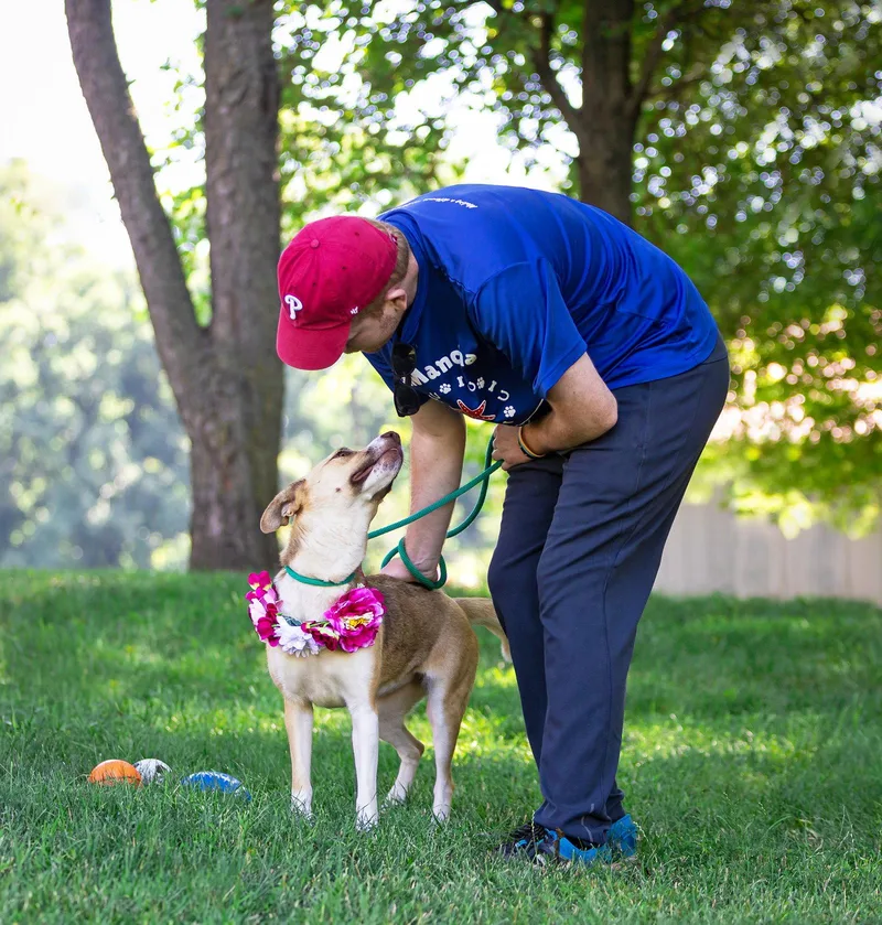 An adult medium-sized female Husky dog named Sunnie for adoption in Coatesville, PA