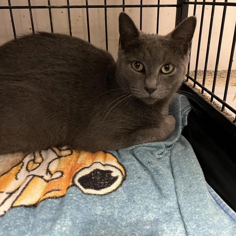 Wednesday thumbnail 2