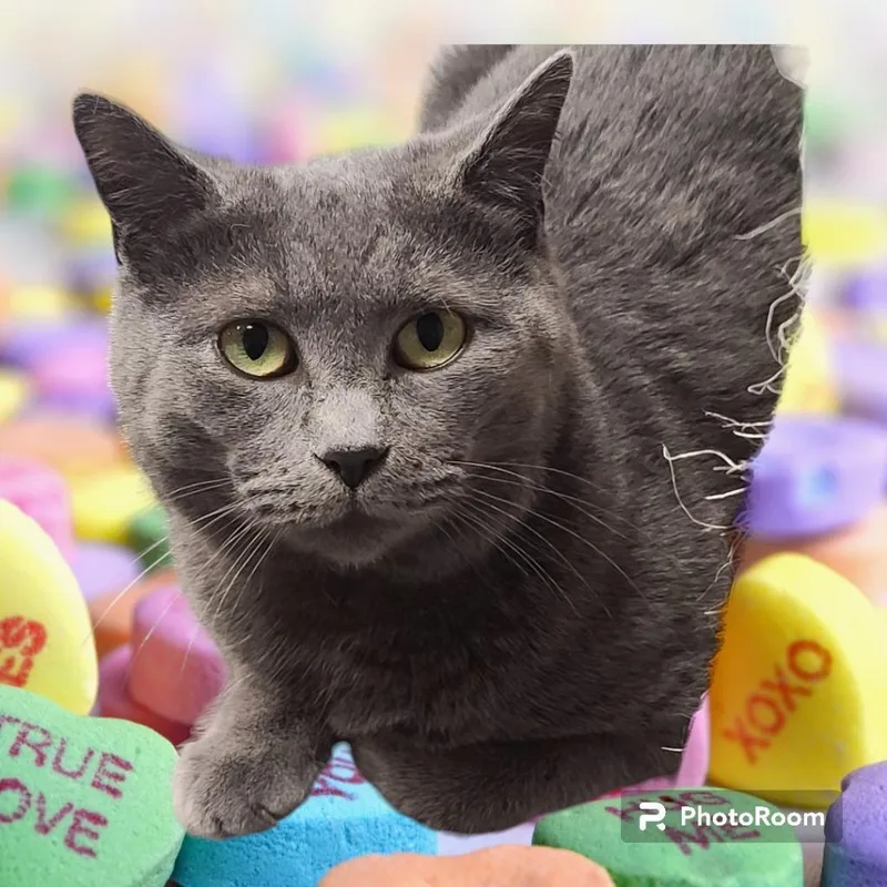 Wednesday thumbnail 3