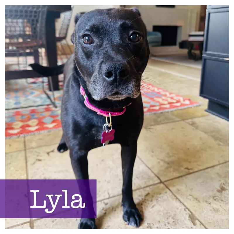 Lyla