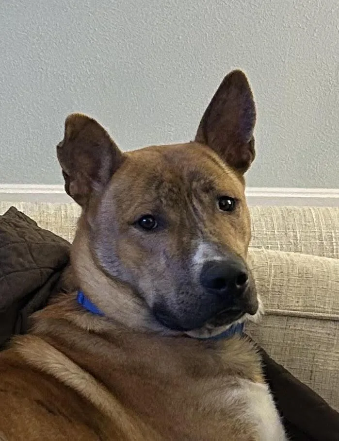 Cashy Boy thumbnail 2