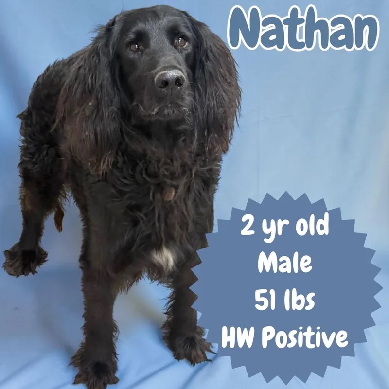 Nathan thumbnail 2