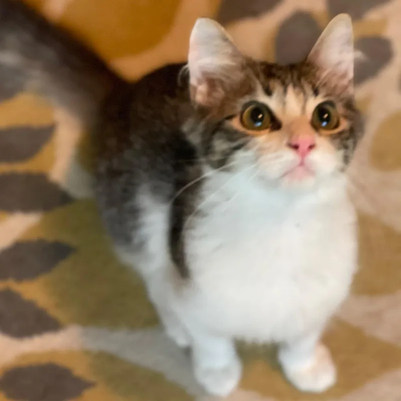 Murray Purry