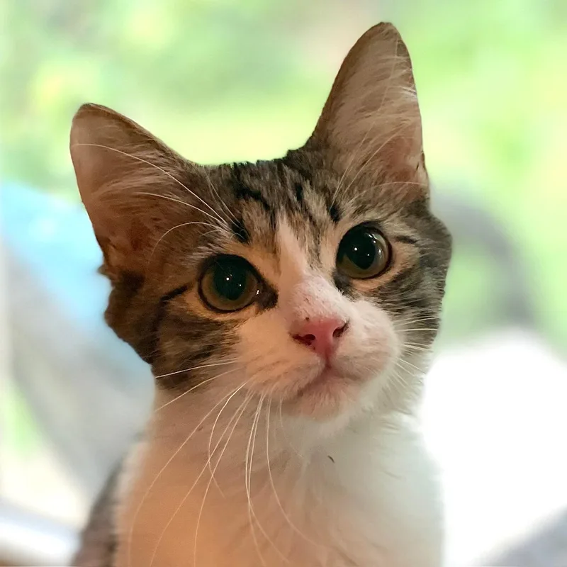 Murray Purry thumbnail 2