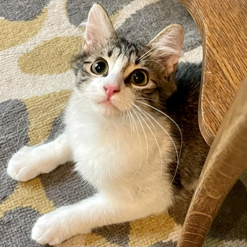 Murray Purry thumbnail 3