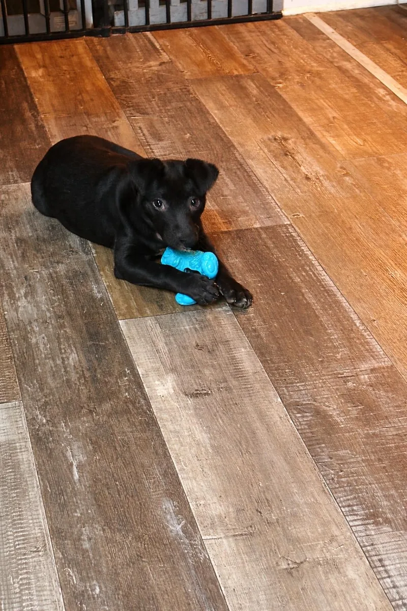 Confetti thumbnail 3