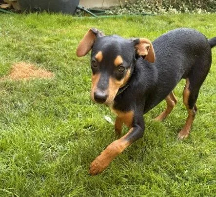 Digby