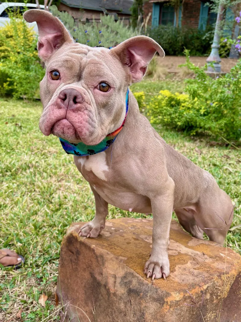 Sadie  What A thumbnail 2