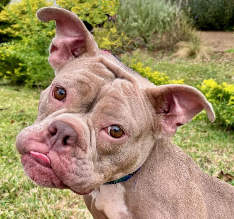 Sadie  What A thumbnail 3