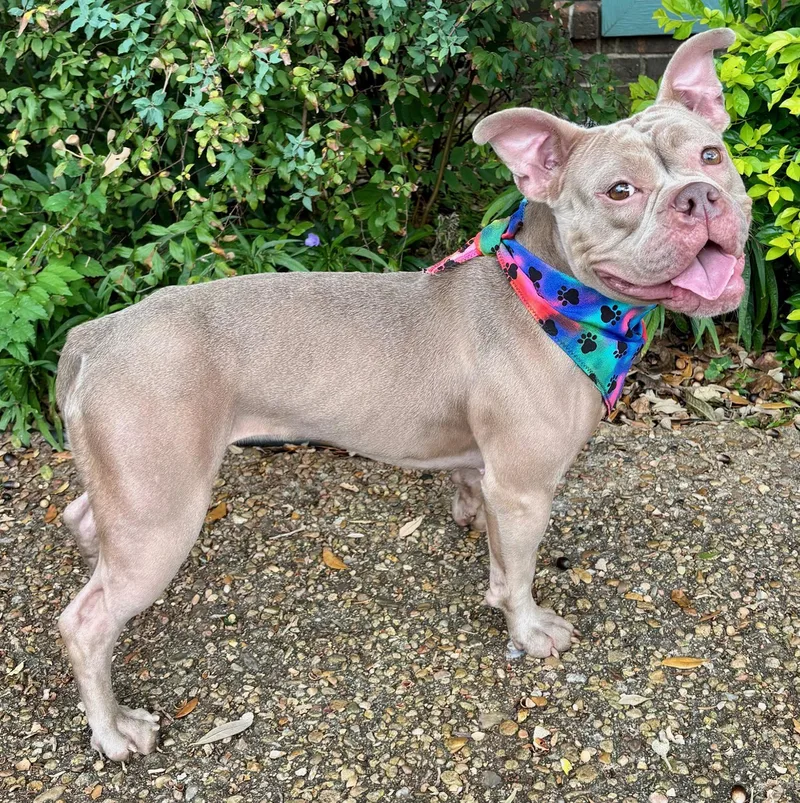 Sadie  What A thumbnail 4