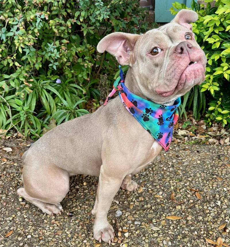 Sadie  What A thumbnail 5