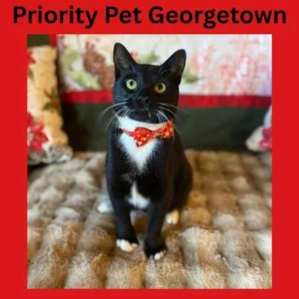 Georgetown  `a Priority