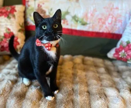 Georgetown  `a Priority thumbnail 2