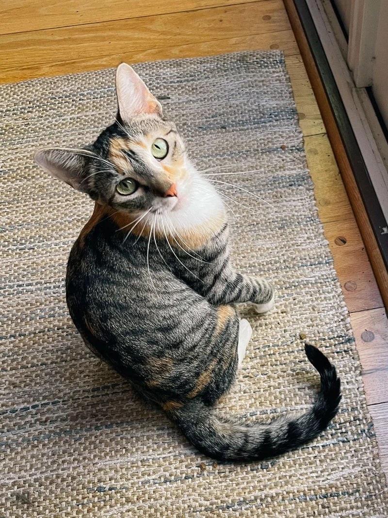 Millie Loo thumbnail 3