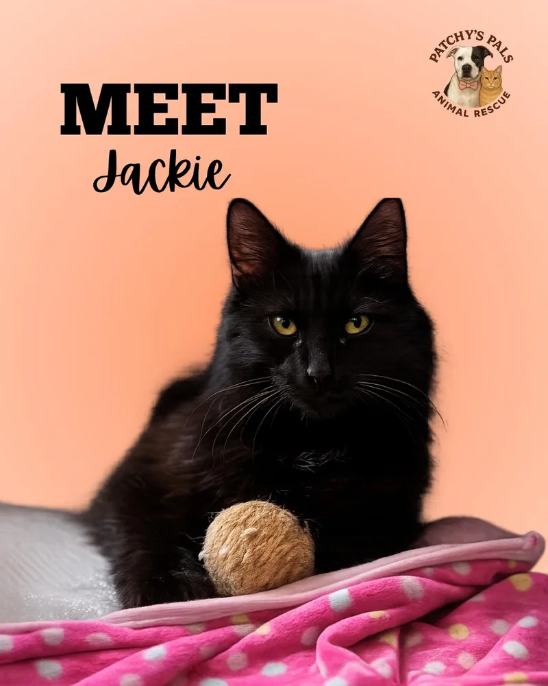 Jackie