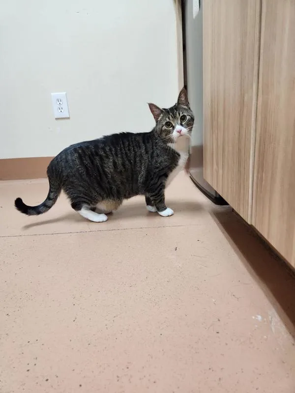 Missy Sue thumbnail 2