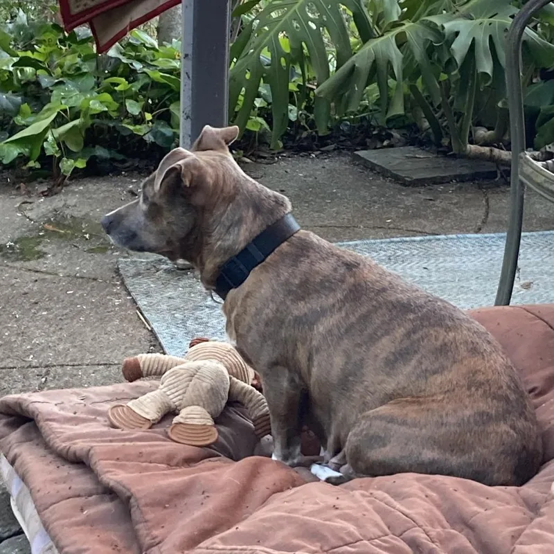 Brindi Mom thumbnail 2