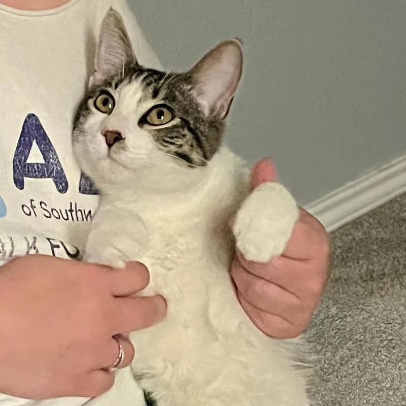 Guinness thumbnail 2