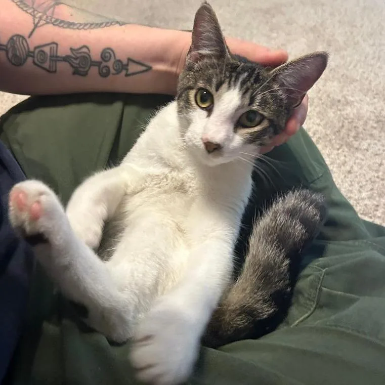 Guinness thumbnail 3