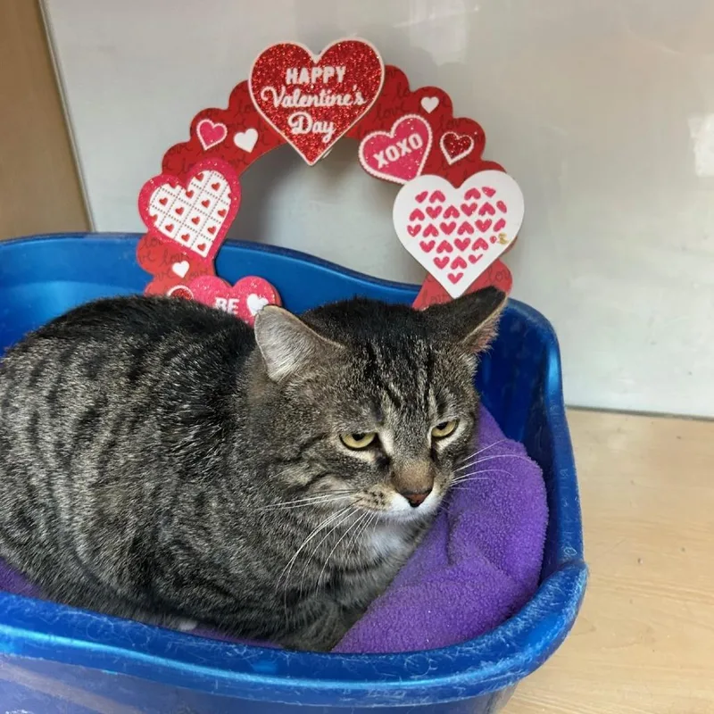 Pretty Boy thumbnail 2